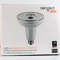 Singled Snap Security Camera/LED Flood Light
