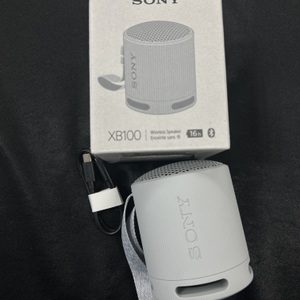 Sony XB100