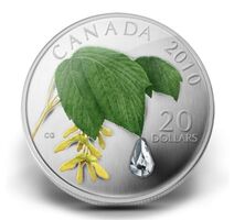 Royal Canadian Mint 2010 $20 Fine Silver Coin- Maple Leaf Crystal Raindrop