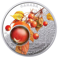 Royal Canadian Mint 2018 $20 Fine Silver Coin Mother Nature's Magnification Morning Dew