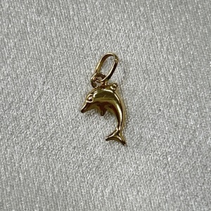  Dolphin Pendant