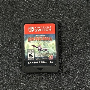 Nintendo Dragons Dragons Dawn of New Riders Nintendo Switch