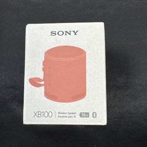 Sony XB100